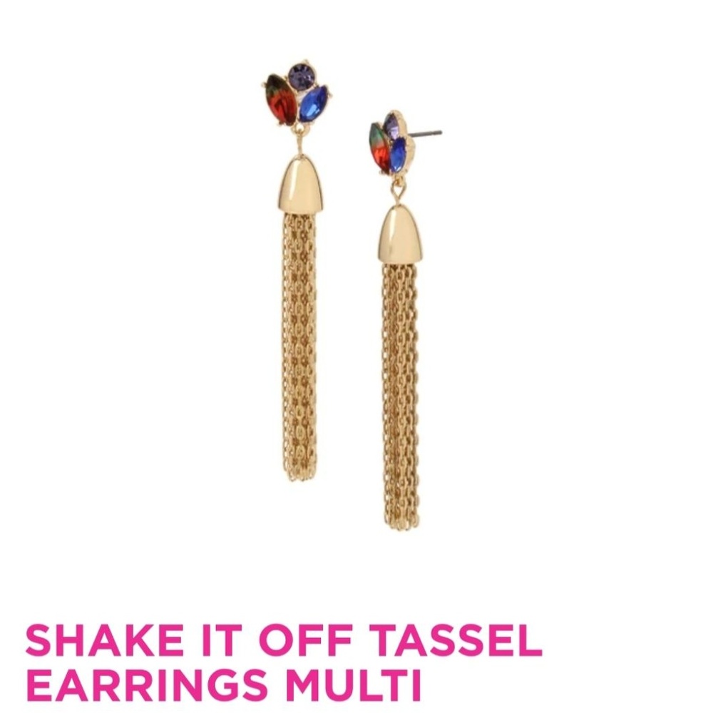 Shake it Off Tassel Earrings Multi